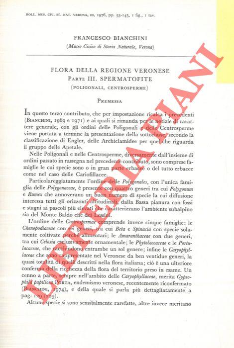 Flora della regione veronese. Spermatofite
