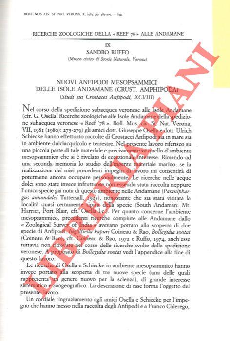 Nuovi anfipodi mesopsammici delle Isole Andamane (Crustacea, Amphipoda)