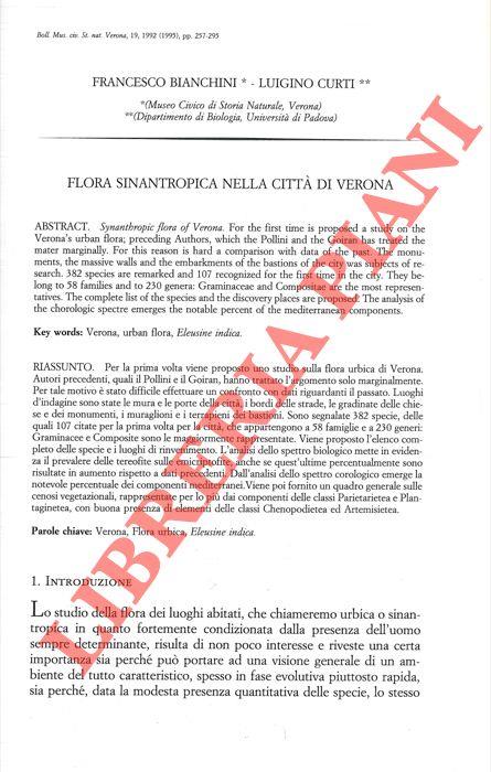 Flora sinantropica nella città di Verona