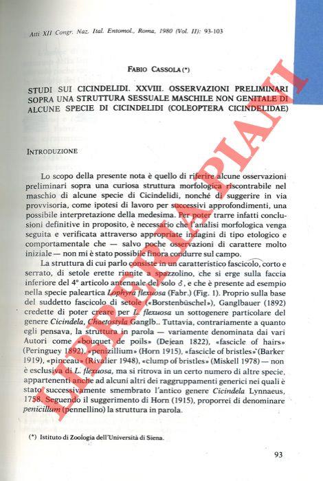Studi sui Cicindelidi. Osservazioni preliminari sopra una struttura sessuale maschile non genitale di alcune specie di Cicindelidi (Coleoptera, Ccindelidae)
