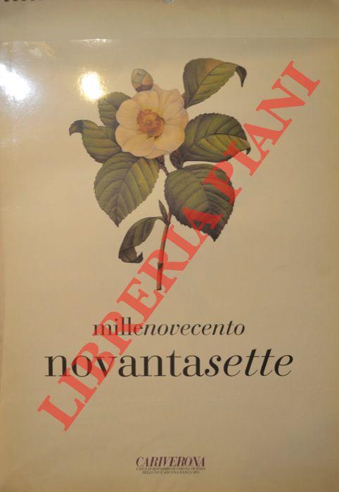 Libreria Piani