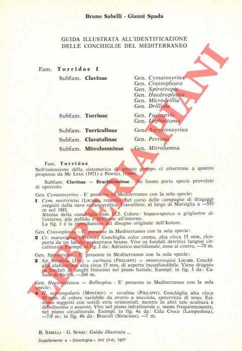 Guida illustrata all'identificazione delle conchiglie del Mediterraneo