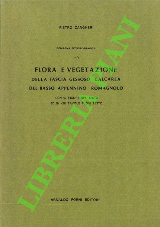 Flora e vegetazione della fascia gessoso-calcarea del basso Appennino romagnolo