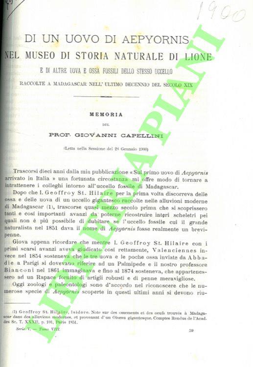 Di un uovo di Aepyornis nel Museo di Storia Naturale di Lione e di altre uova e ossa fossili dello stesso uccello raccolte a Madagascar nell'ultimo decennio del secolo XIX.