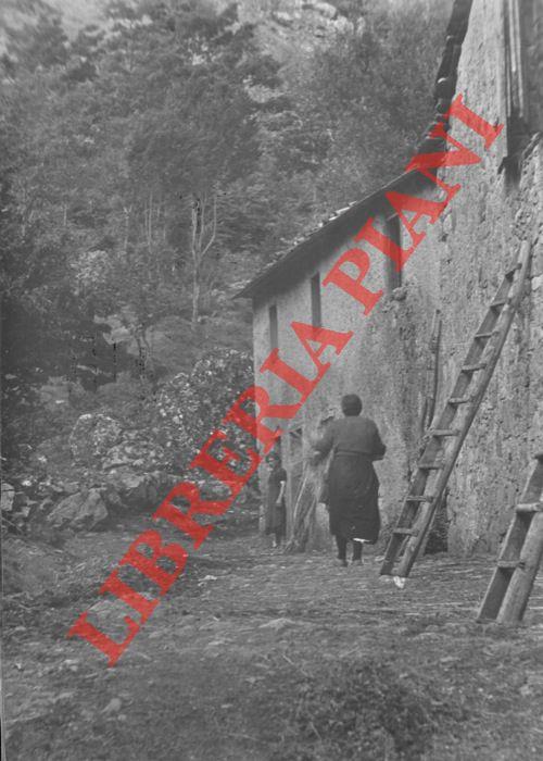 Paesaggi rurali di collina, italiani, animati