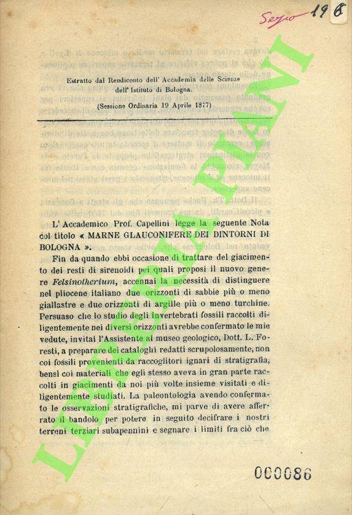 Marne glauconifere dei dintorni di Bologna