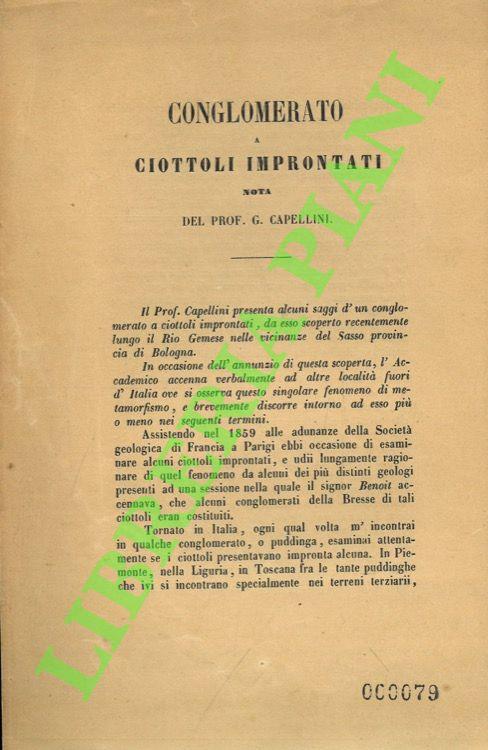 Conglomerato a ciottoli improntati