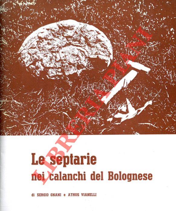 Libreria Piani