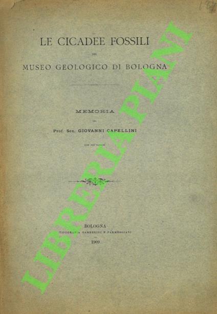 Le cicadee fossili del Museo Geologico di Bologna - Giovanni Capellini - copertina