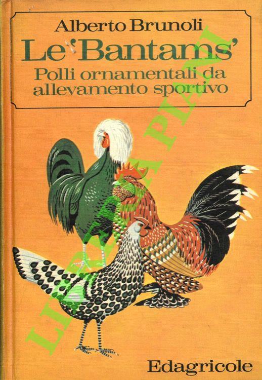 Le “Bantams”. Polli ornamentali da allevamento sportivo