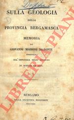 Sulla geologia della provincia bergamasca memoria di Giovanni Maironi Da-Ponte presentata all'Imperiale Regio Istituto di Scienze ed Arti
