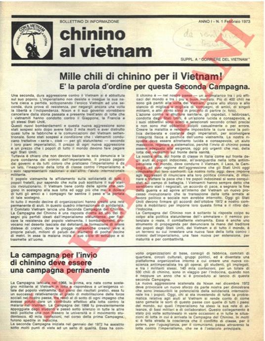 Chinino al Vietnam - copertina