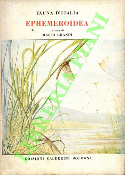Ephemeroidea - copertina