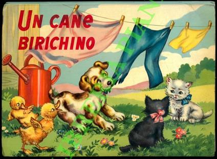 Un cane piccino - copertina