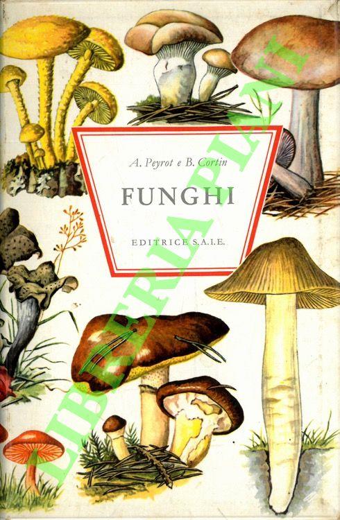 Funghi - copertina