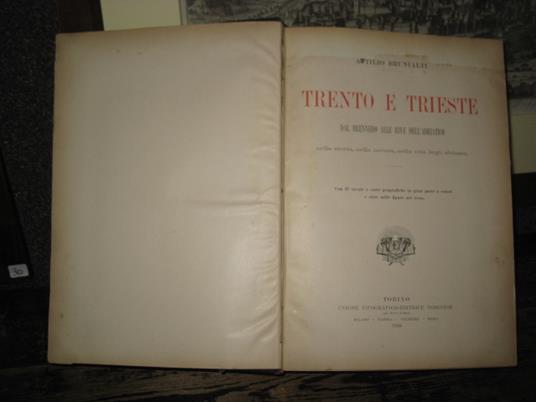 Trento e Trieste. Dal Brennero alle rive dell'Adriatico nella storia, nella natura, nella vita degli abitanti - Attilio Brunialti - copertina