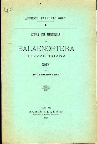 Sopra una mandibola di Balaenoptera dell'Astigiana. Nota - Federico Sacco - copertina