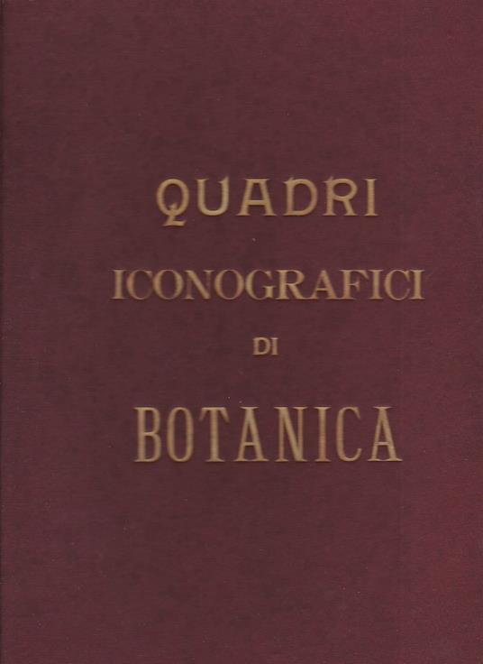 Quadri iconografici di botanica proposti ad uso delle scuole e pubblicati sotto la direzione di Luigi Bellardi - Luigi Bellardi - copertina