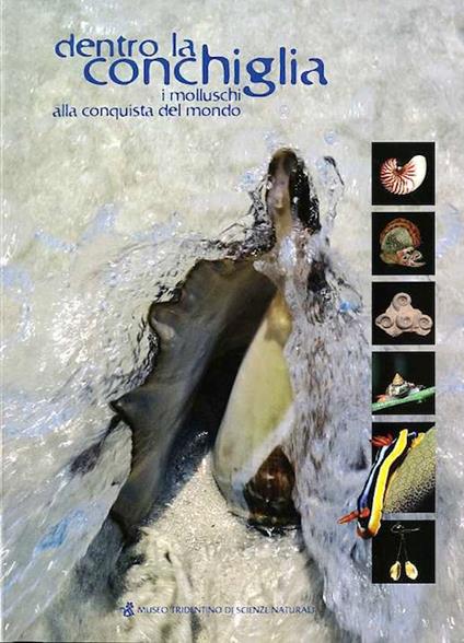 Dentro la conchiglia: i molluschi alla conquista del mondo - copertina