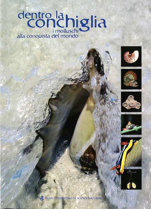 Dentro la conchiglia: i molluschi alla conquista del mondo - copertina