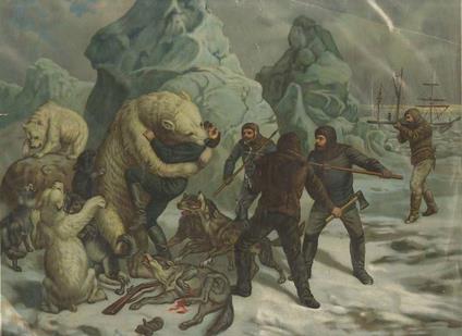 Caccia agli orsi bianchi - copertina