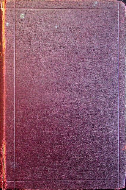 Dizionario dei sinonimi della lingua italiana. Completamente riveduto e aumentato da Giuseppe Rigutini - Niccolò Tommaseo - copertina