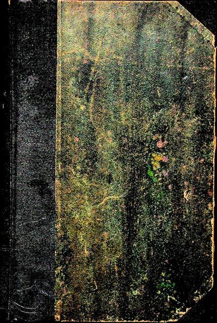 Direttorio spirituale dei Terziari di San Francesco. Traduzione dal francese sulla 2. ed. emendata ed accresciuta, curata da un religioso dello stesso Ordine - copertina