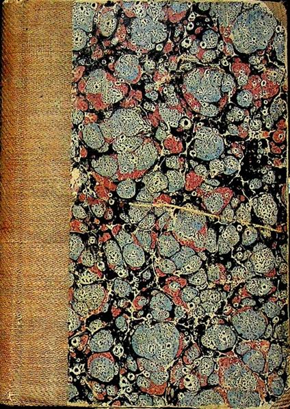 Guida del viaggiatore per la città e per li dintorni di Trento - Nicolò Toneatti - copertina