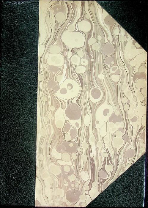 Baugeschichte der Bozner Pfarrkirche Die überreste mittelalterlicher Wandmalereien in der Bozner Pfarrkirche - copertina