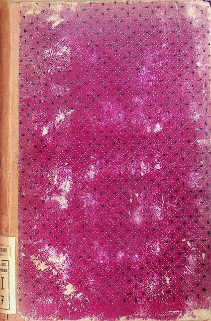 I martirii nella missione francescana osservante in Erzegovina: narrazione storica diretta ai pii benefattori dal padre Pietro Bakula lettore generale di s. teologia - copertina