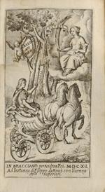 Il calloandro