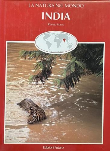 India - copertina