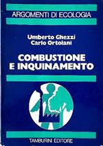combustione e inquinamento