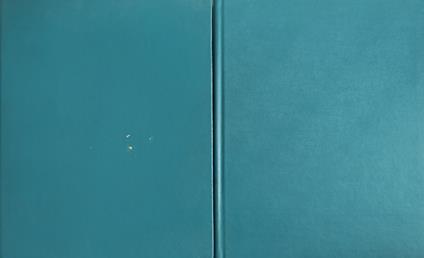 Analisi chimica strumentale e tecnica - copertina