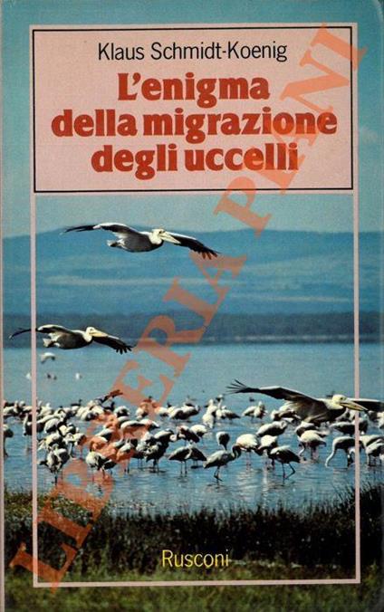 L' enigma della migrazione degli uccelli - Klaus Schmidt-Koenig - copertina