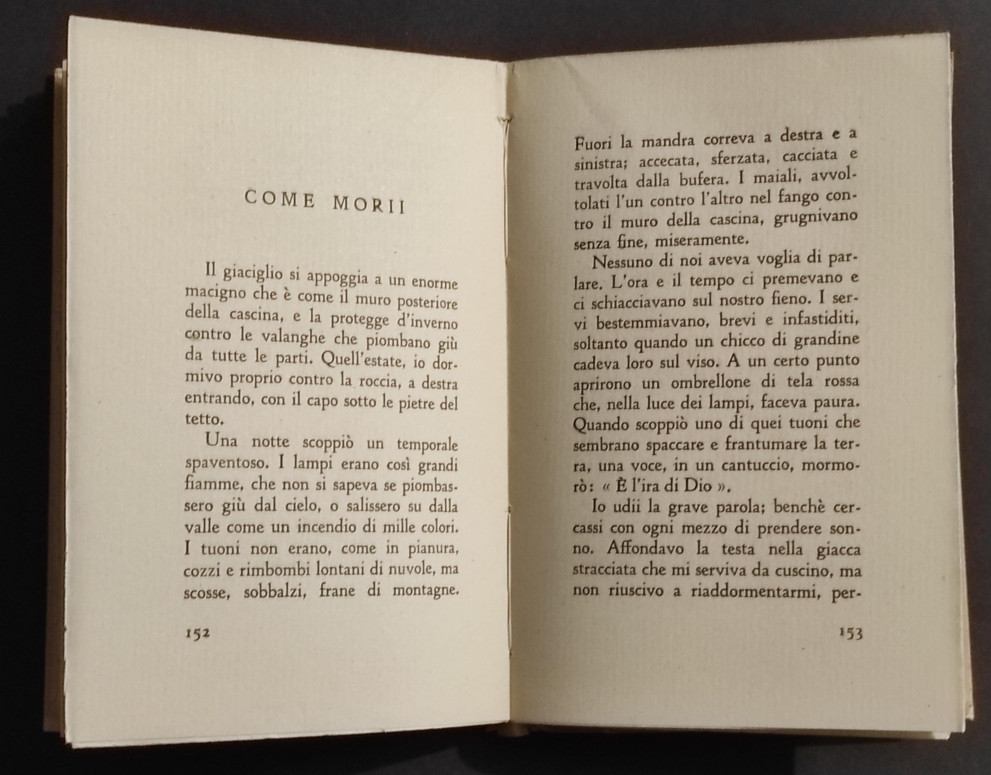 Il Libro dell'Alpe