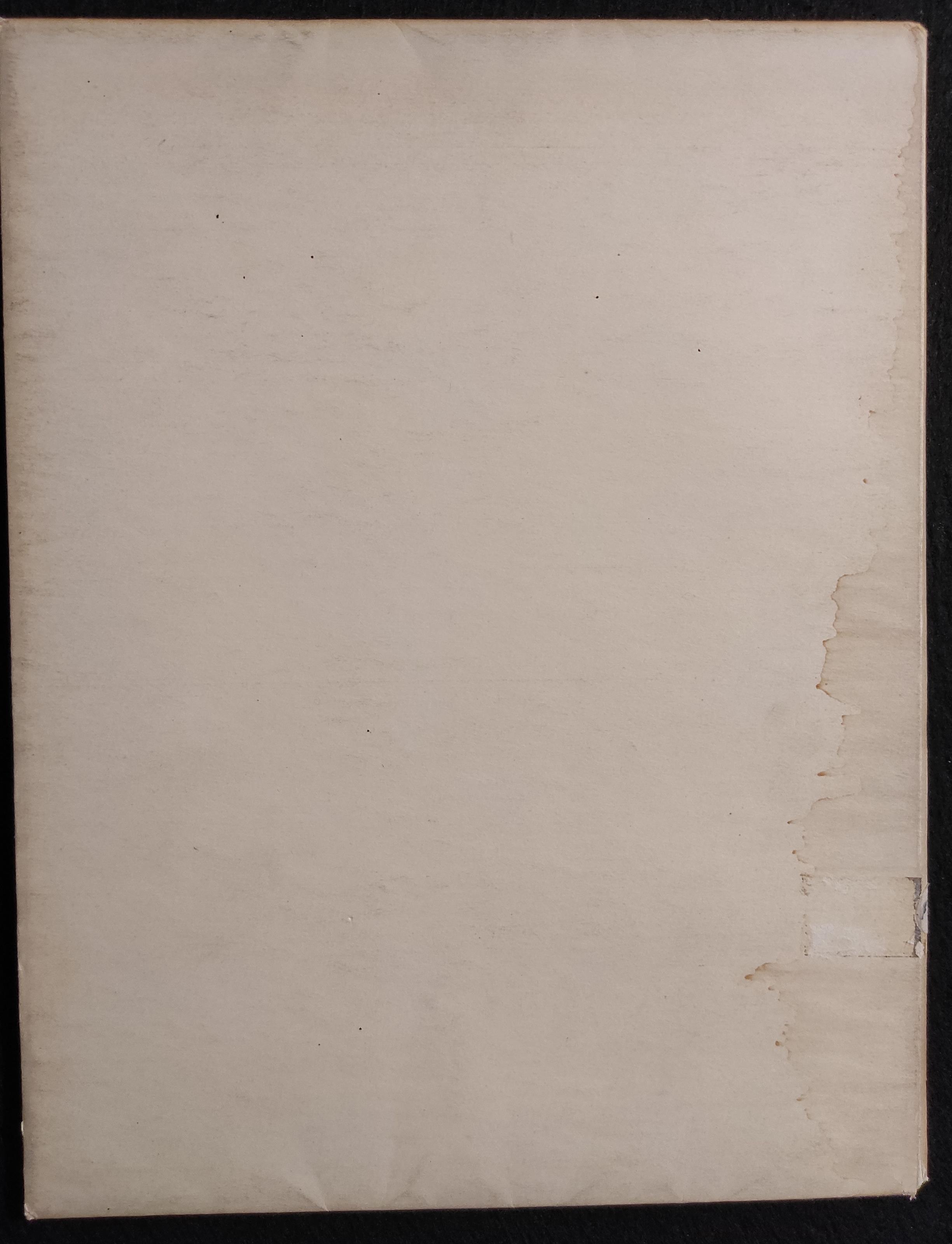 20 Disegni di Mario Radice