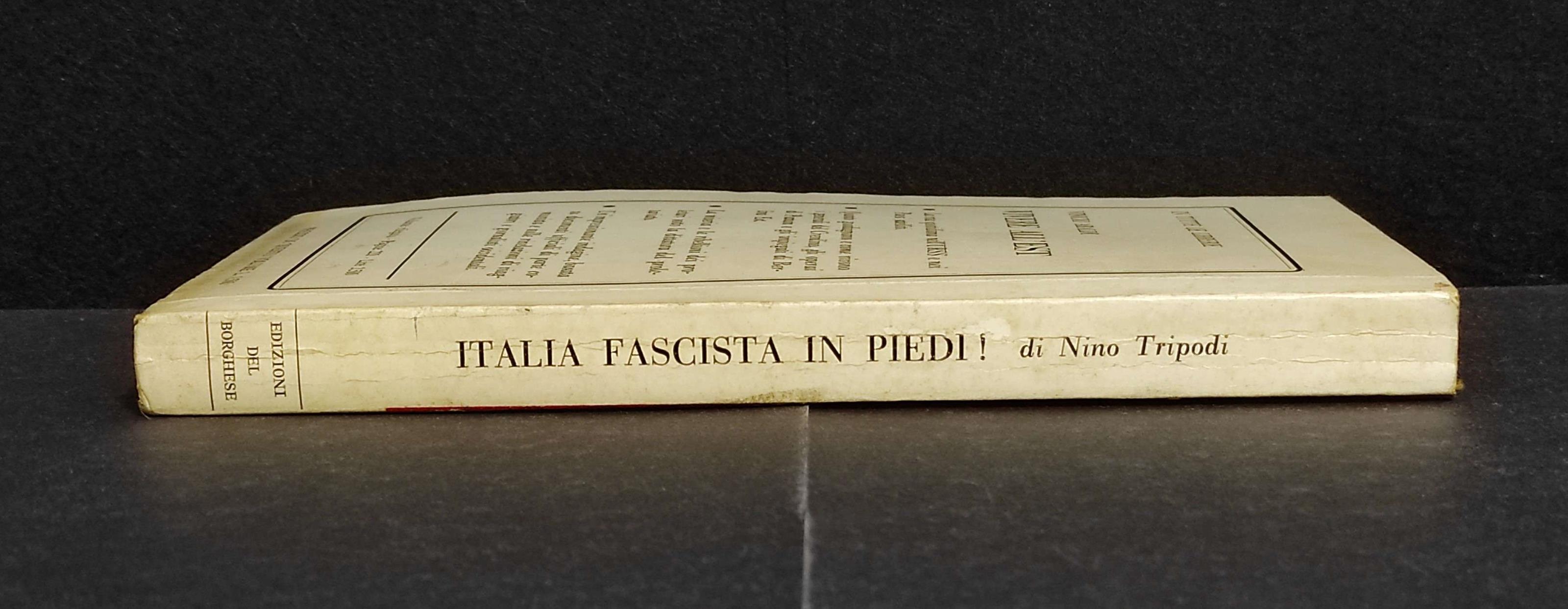 Italia Fascista in Piedi!