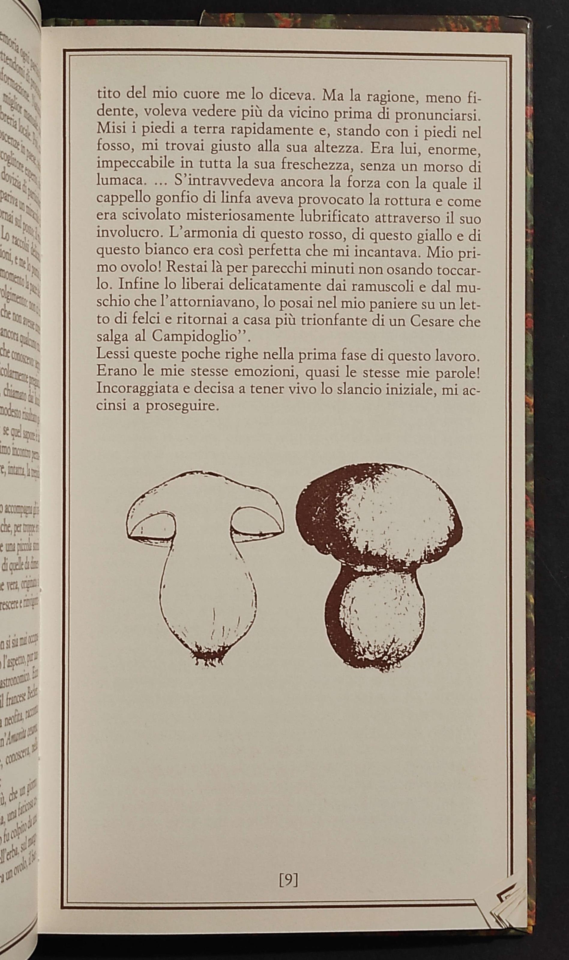 C'è un Fungo nel Bosco