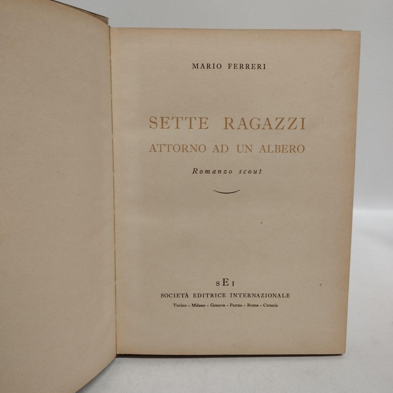 Sette ragazzi intorno ad un albero . Romanzo scout
