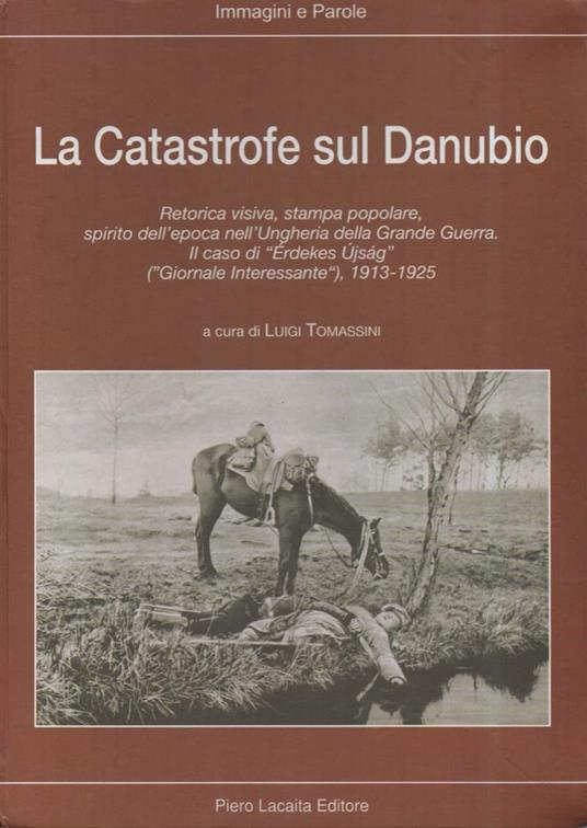La Catastrofe Sul Danubio - Luigi Tomassini - copertina