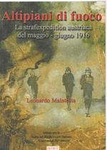 Altipiani di Fuoco La Strafexpedition Austriaca Del Maggio-giugno 1916