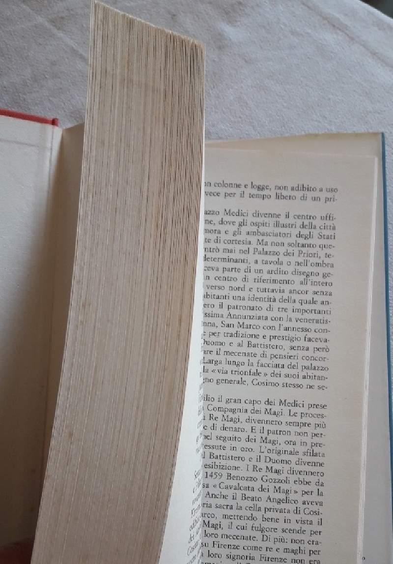 Firenze Nel Medioevo-vita Urbana e Passioni Politiche 1250-1530