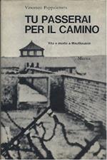 Tu Passerai per Il Camino - Vita e Morte a Mauthausen