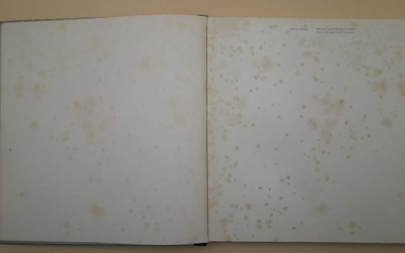 Strucktur Und Gestalt in Japan- Structure And Form in Japan