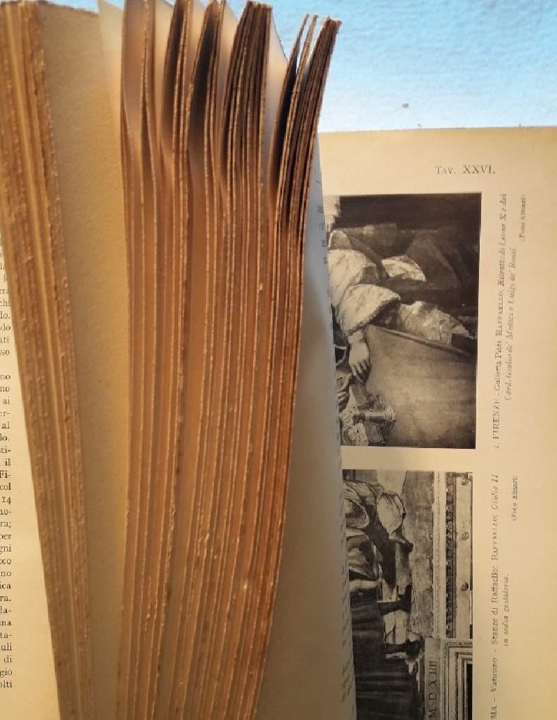 Roma Nel Rinascimento