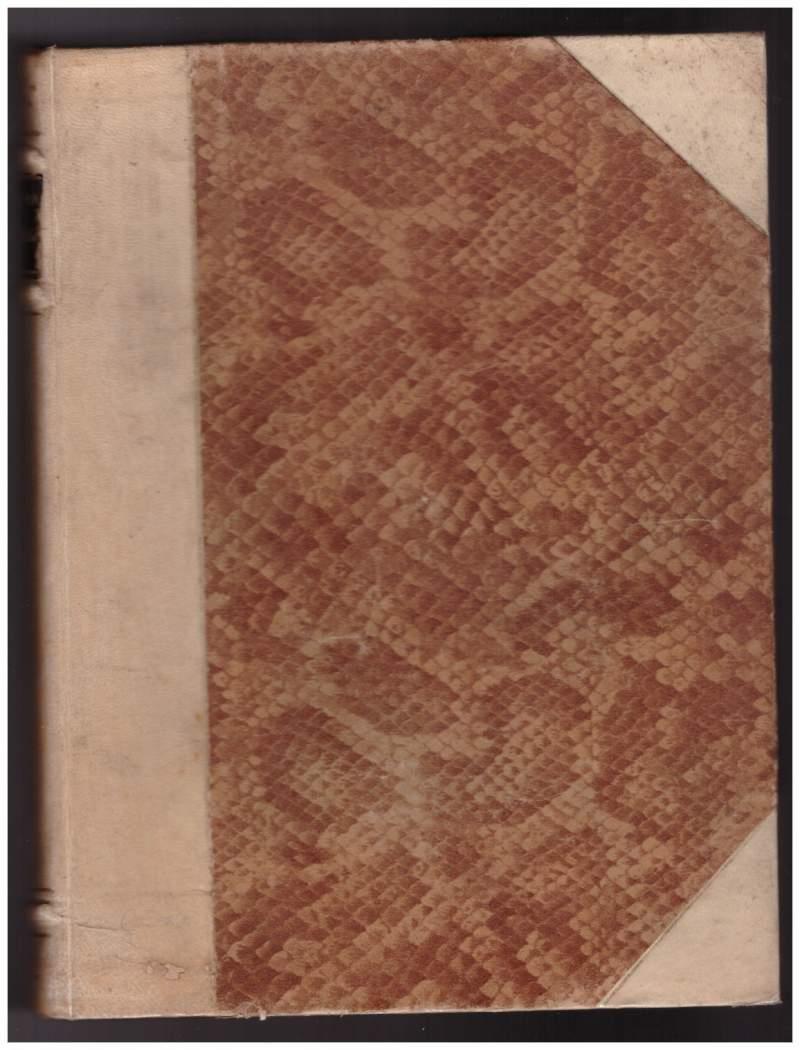 Australia Continente Minorenne 