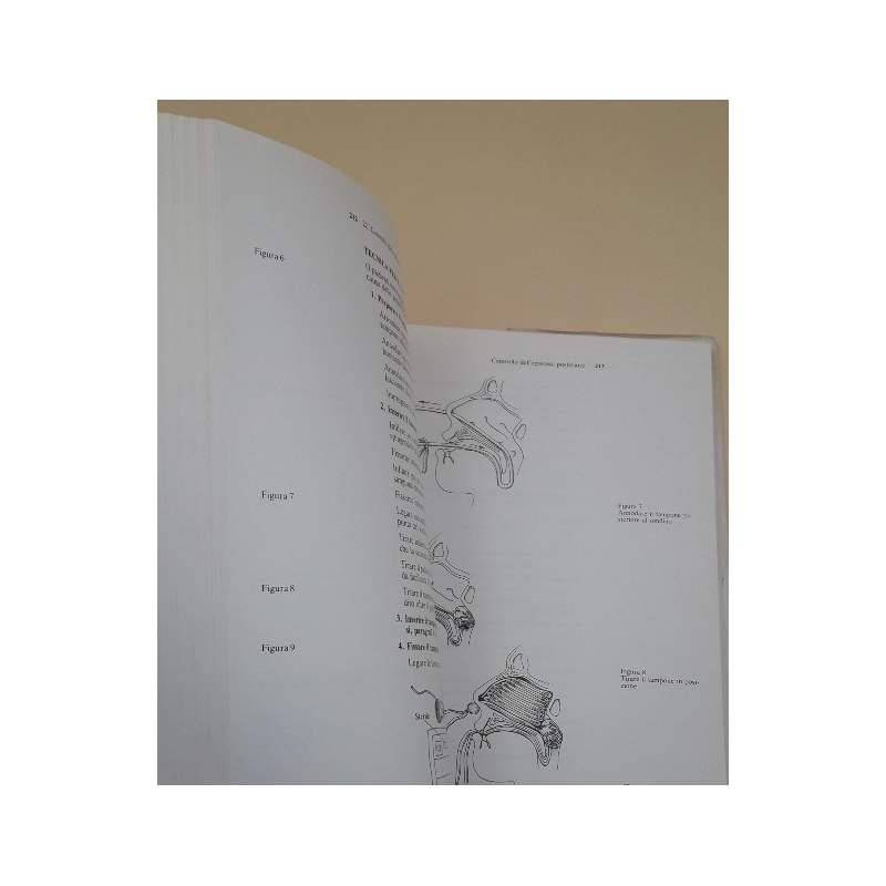 Atlante Degli Interventi Al Letto Del Malato