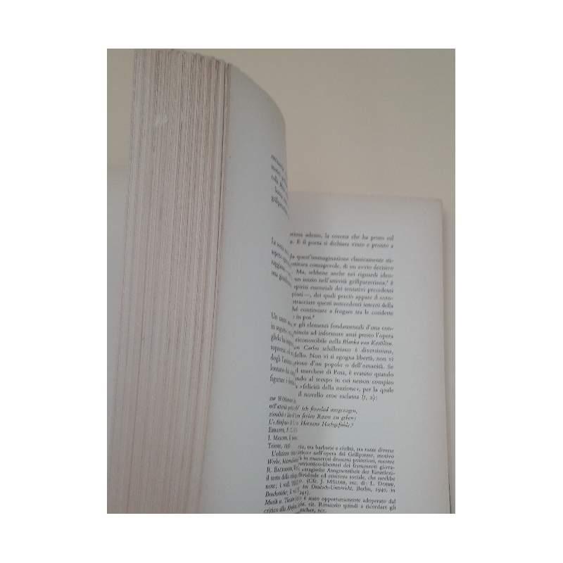 Saggi di Letteratura Tedesca 