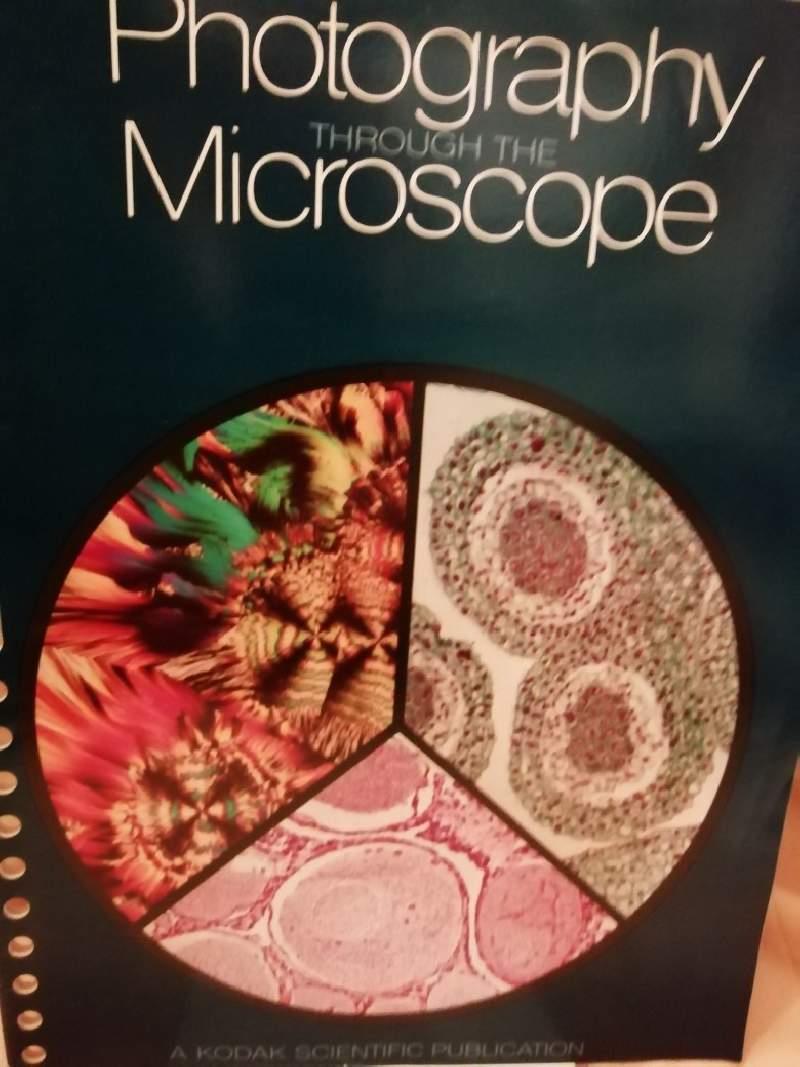 Photography Through The Microscope